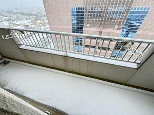 ロイヤルシティ参番館の物件内観写真